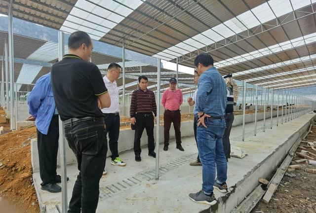广西畜牧研究所肉牛技术团队到广西山水牛牧场发展调研指导工